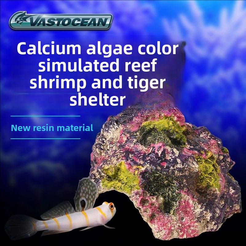 Marine Aquarium Hermit Crab - VASTOCEAN Saltwater Aquarium Cave-Reef Safe Hiding