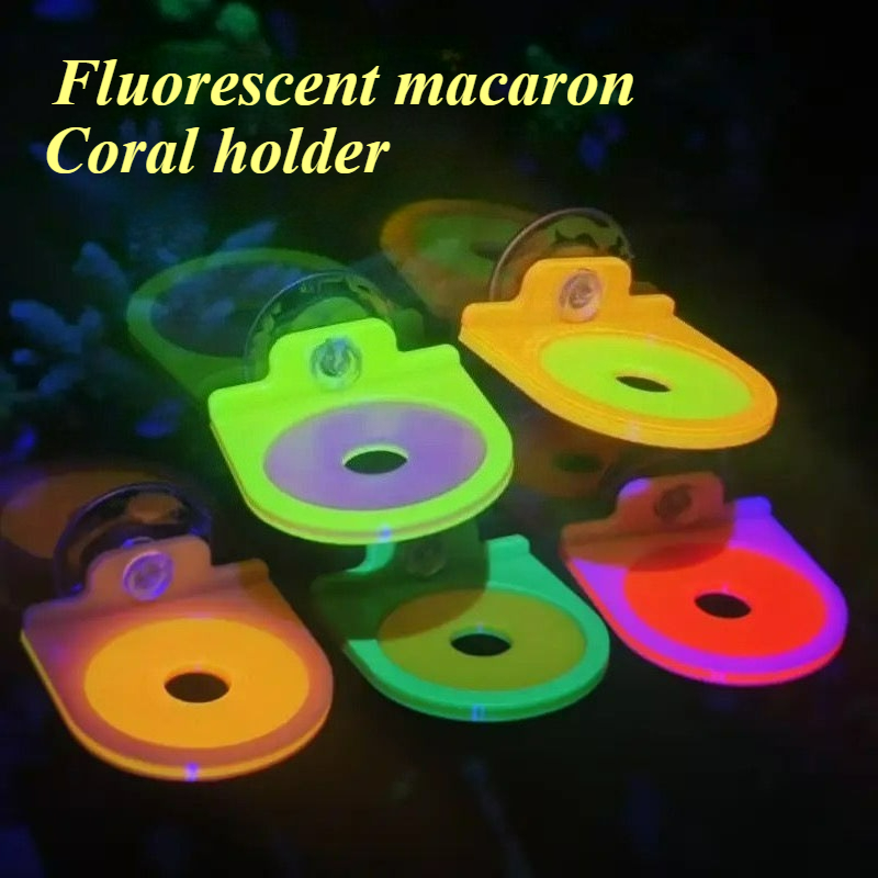 Aquarium Marine Color - Color Random Coral Frag Holder Bracket
