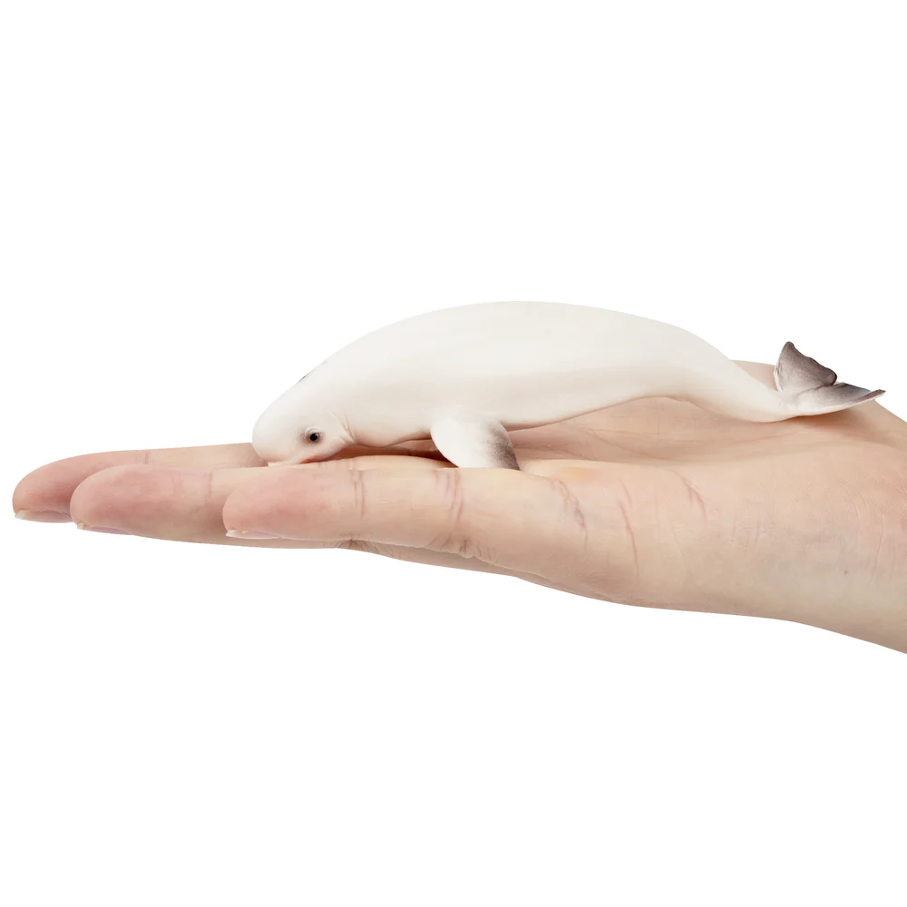Toymany Simulation Beluga Whal - Marine Aquarium Decorations review and price