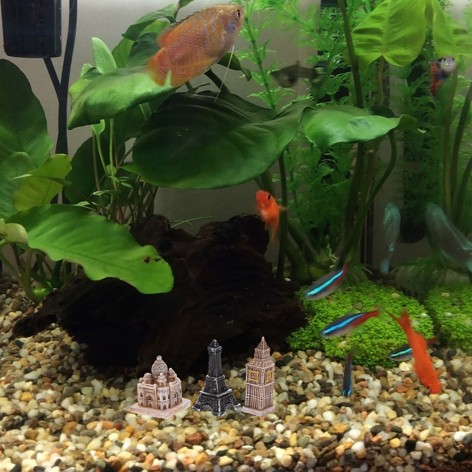7Pcs Miniature Roman Statues D - Aquarium & Marine Museum Universiti Malaysia Sabah Kota Kinabalu Sabah review and price