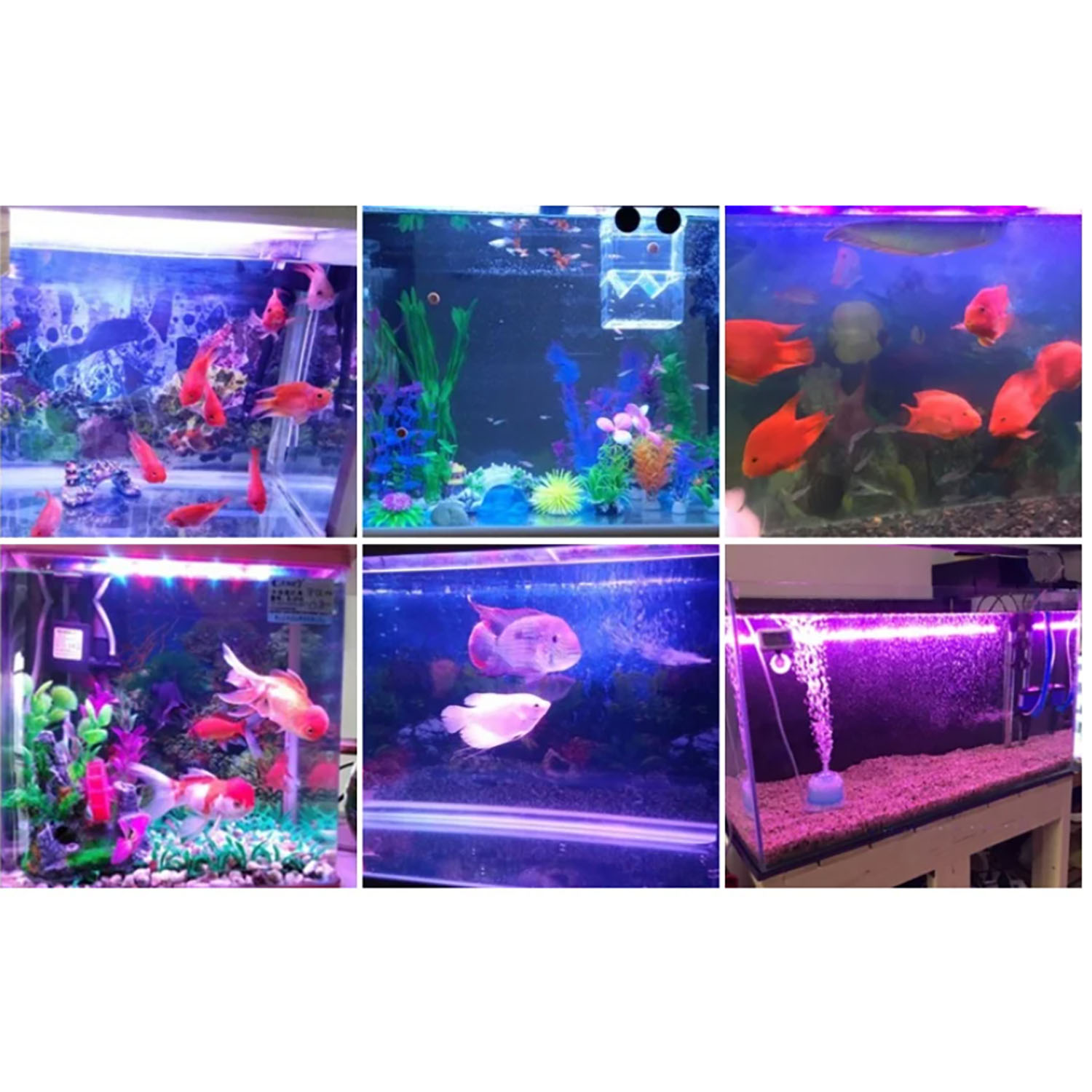50W 60W 70W 100W RGB 26-28V Hi - Aquarium Marine Color review and price