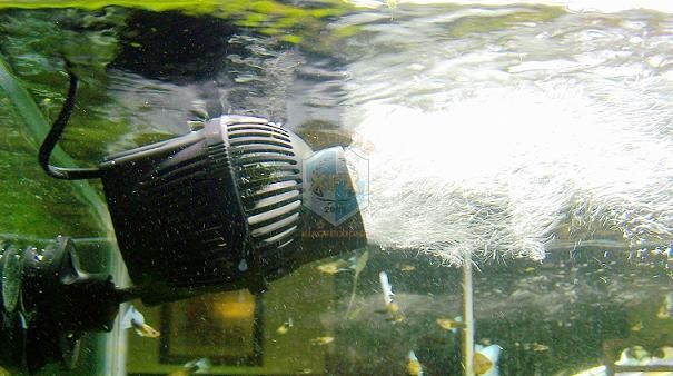 sunsun Jvp-200 newest waver ma - Aquarium Marine Color review and price