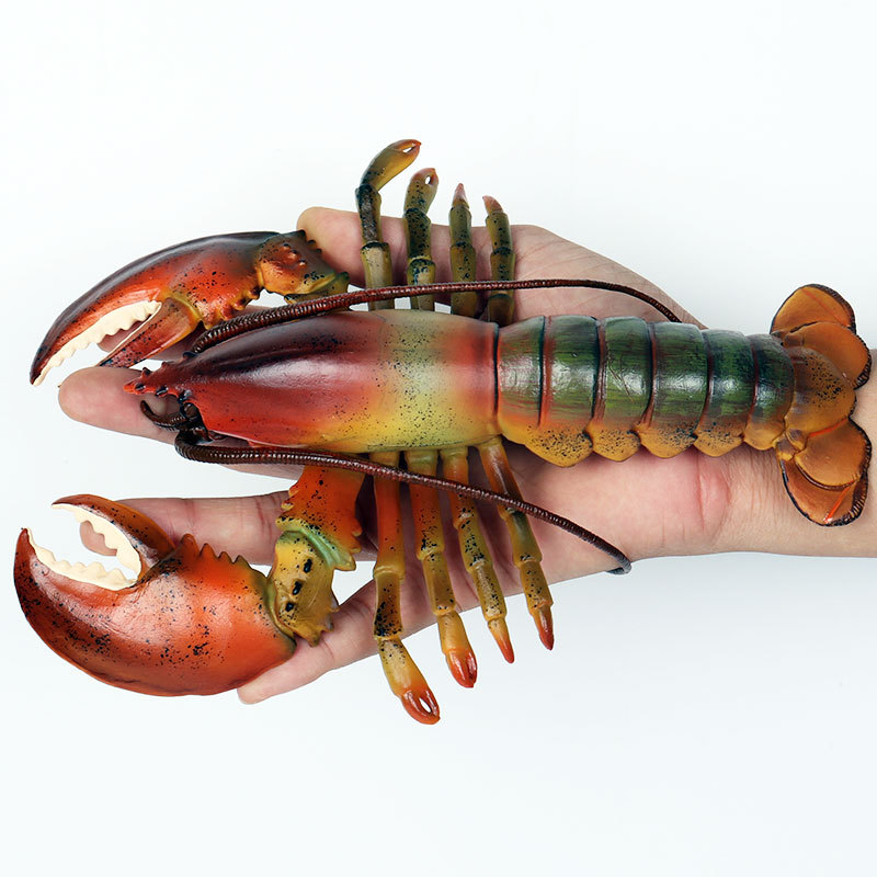 Realistic Marine Life Figurine - Marine Aquarium Hermit Crab review and price