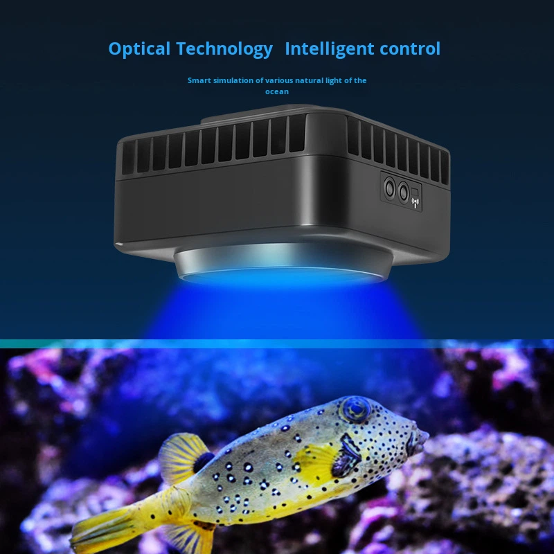 Jebao GSQ Smart Marine Coral L - Aquarium Marine Color review and price